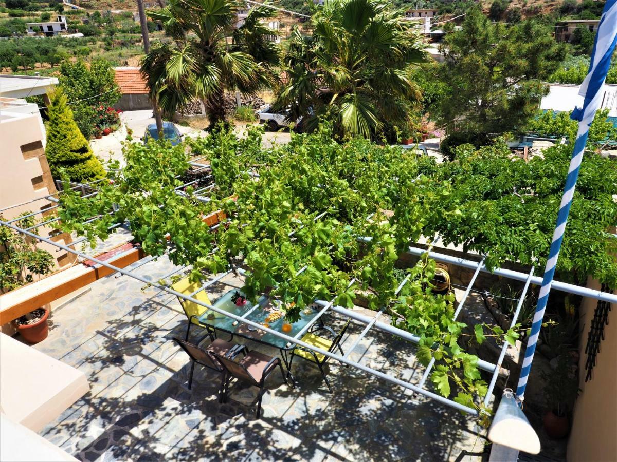 Villa Traditional Cretan *