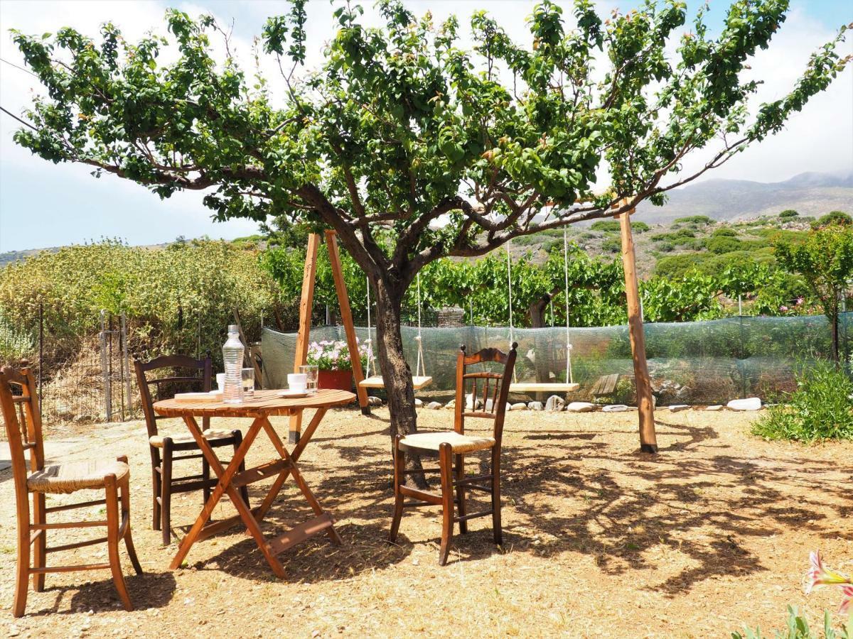 Traditional Cretan Villa *
