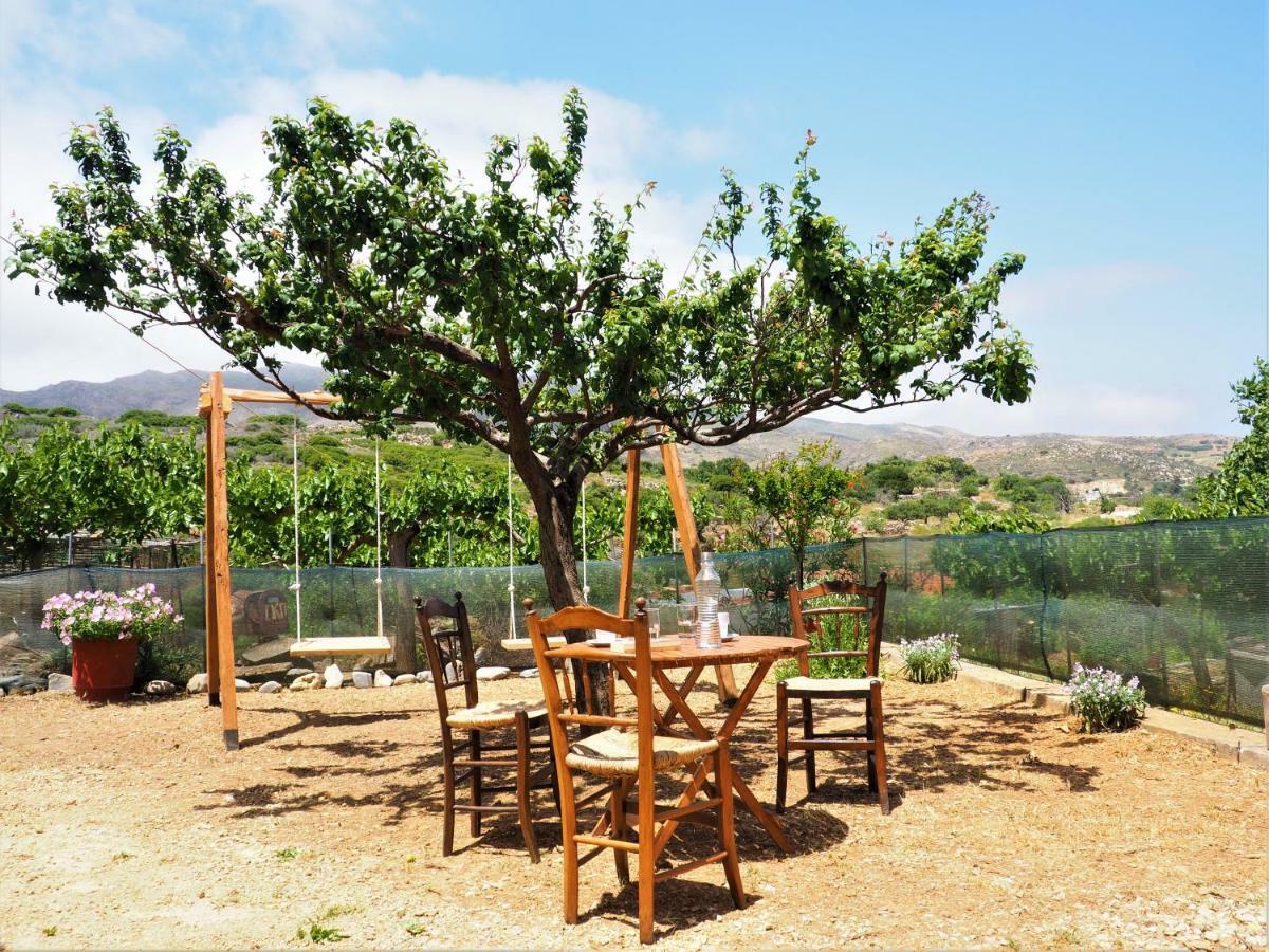 Traditional Cretan Rodhopos